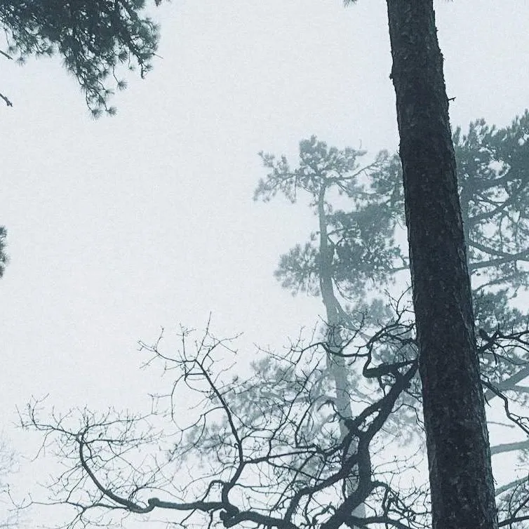 chat with ai character: Lestat de Lioncour