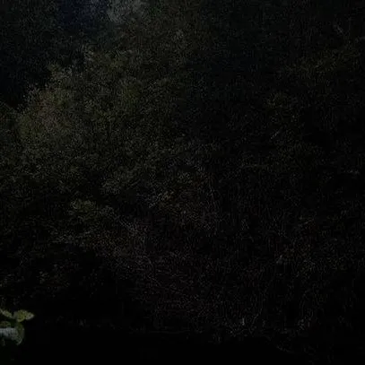 chat with ai character: Niko Dantes