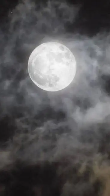 ai character: Werewolf of London background