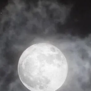 chat with ai character: Werewolf of London