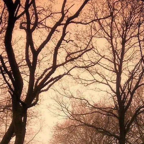 chat with ai character: Corazon ang aswang