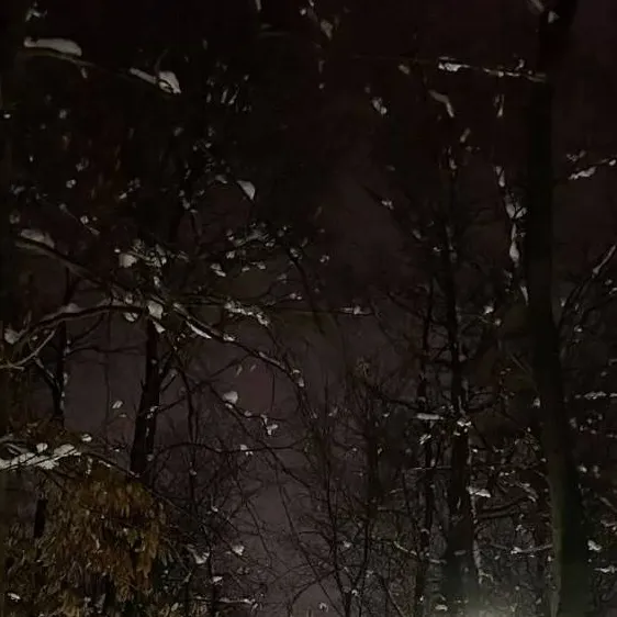 chat with ai character: shadow and maria 