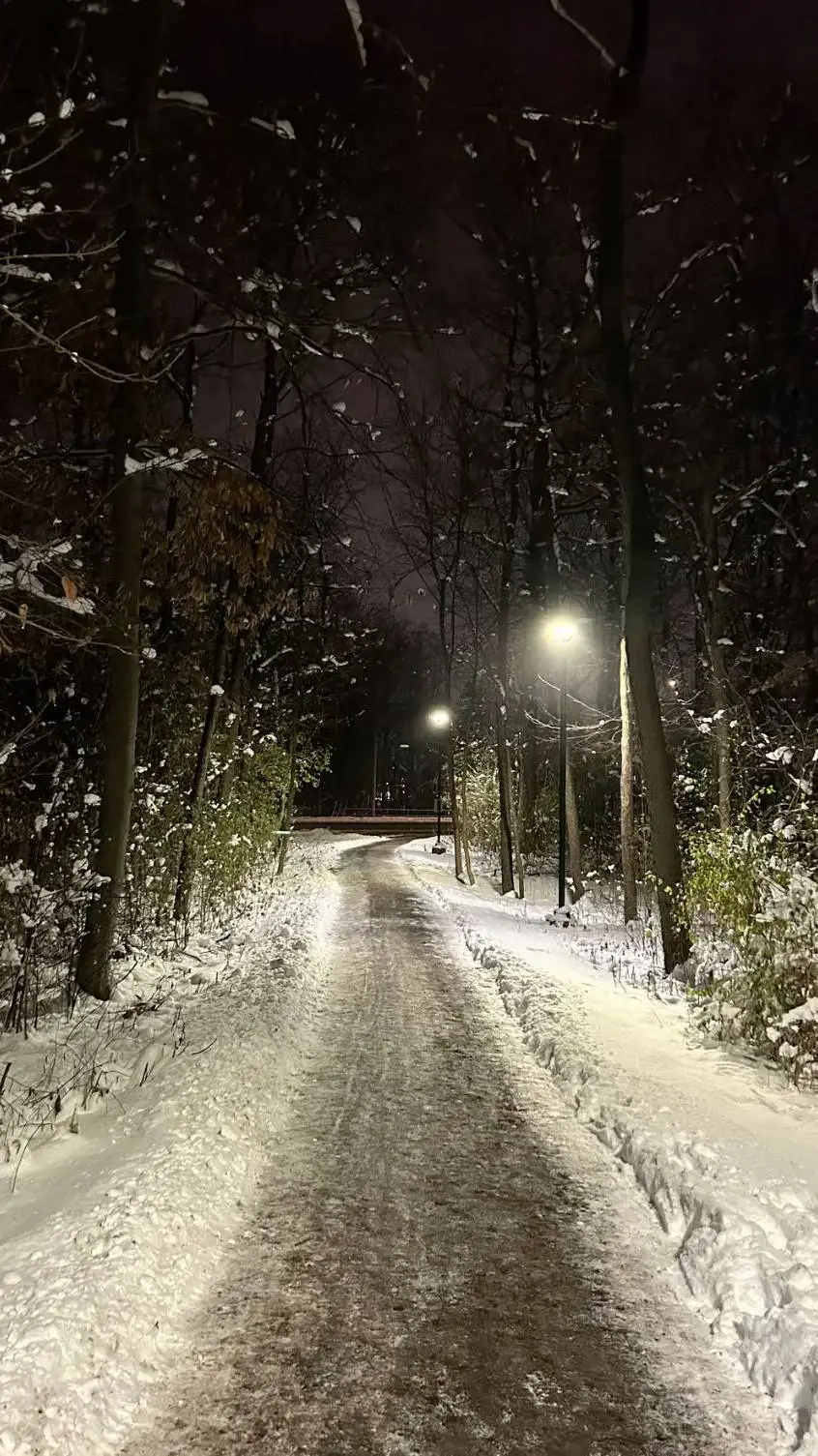 ai character: shadow and maria  background