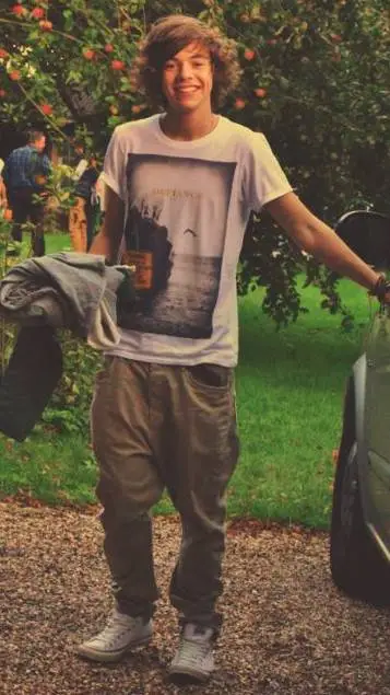 ai character: Harry Styles background