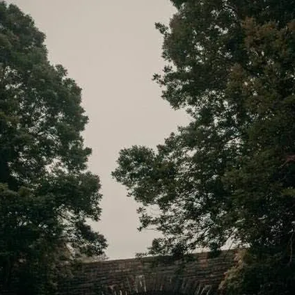 chat with ai character: Tinker Bell