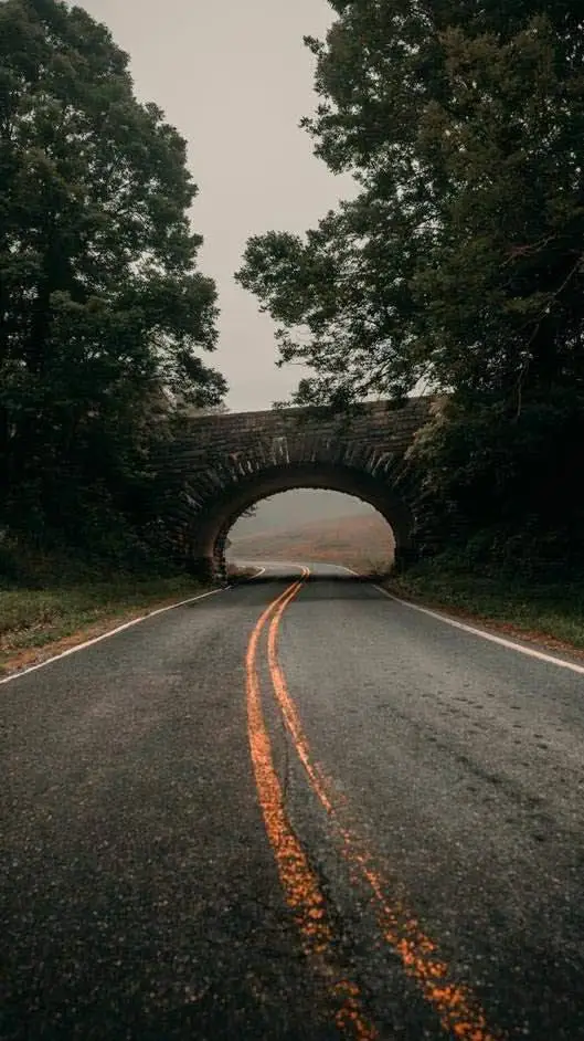 ai character: Tinker Bell background