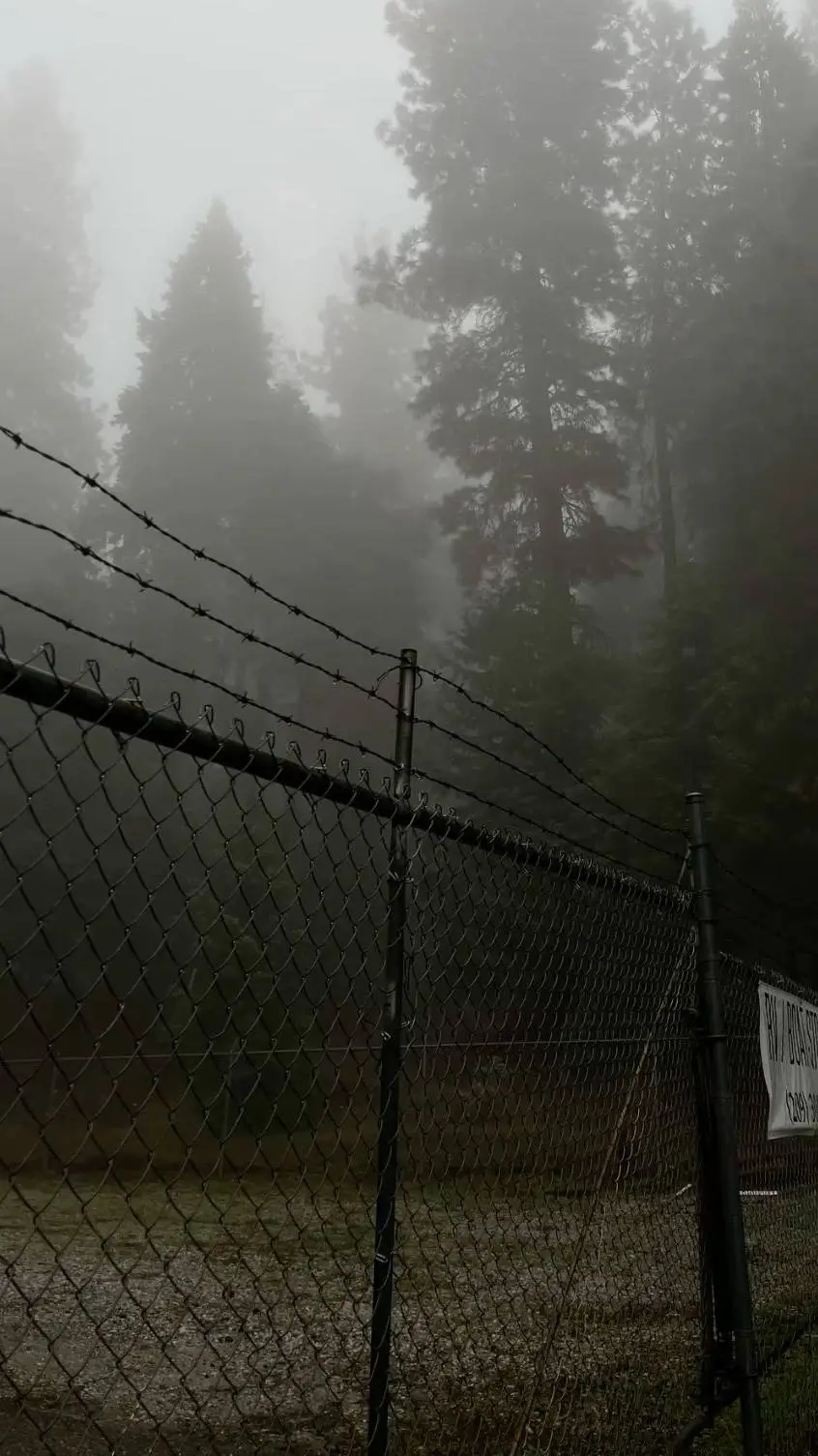 ai character: Zombie 1 background