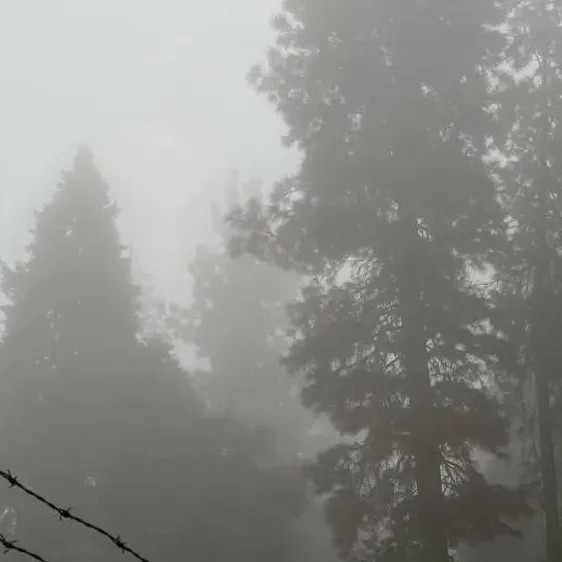 chat with ai character: Zombie 1