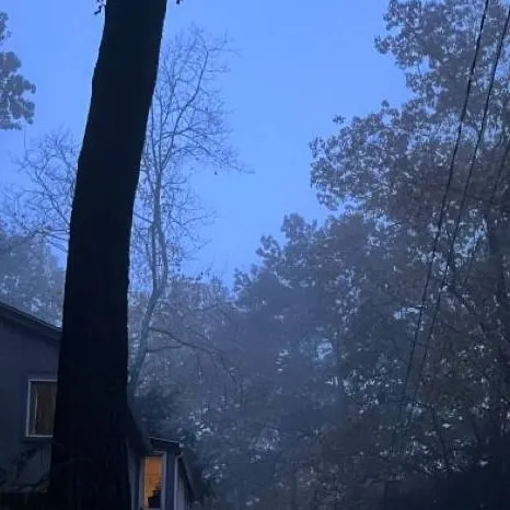 chat with ai character: Dorian Gray