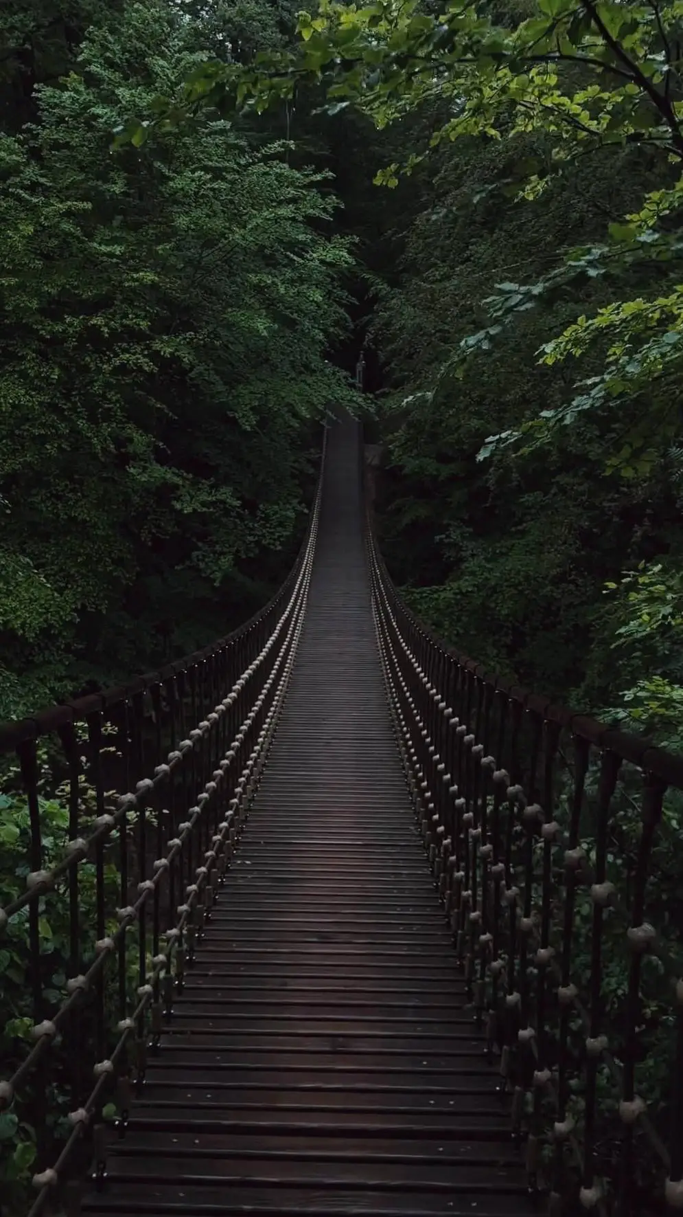 ai character: Legends of Biringa background