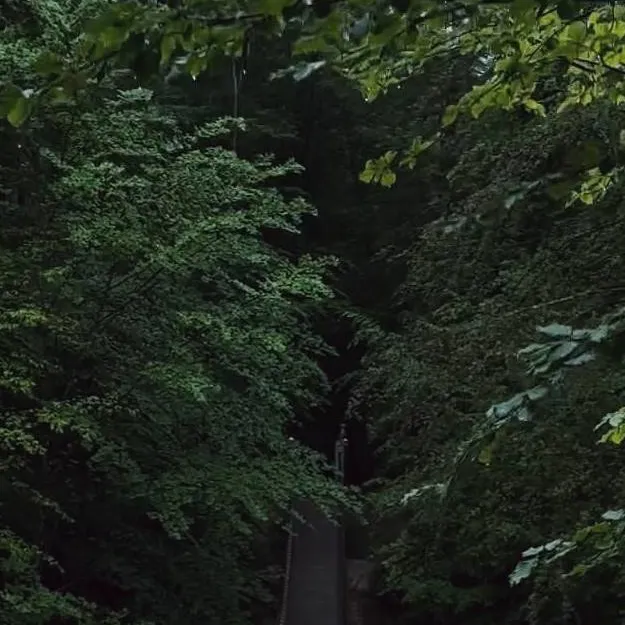 chat with ai character: Legends of Biringa