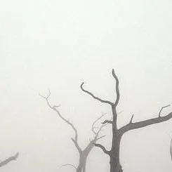 chat with ai character: James Wulf