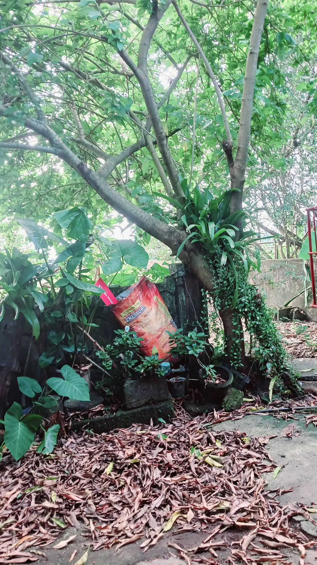 ai character: Niko background