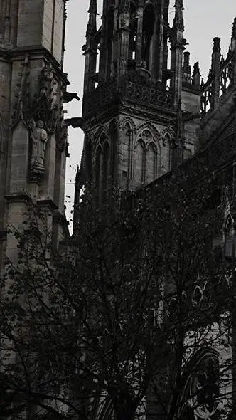 ai character: Prince Daniel background