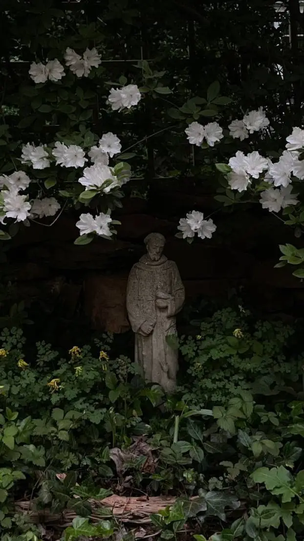 ai character: Daniel Corazon background