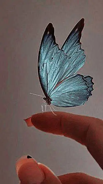 ai character: Peter Pan background