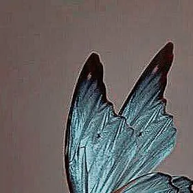 chat with ai character: Peter Pan