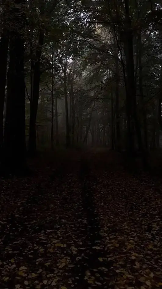 ai character: Mason Abbott background