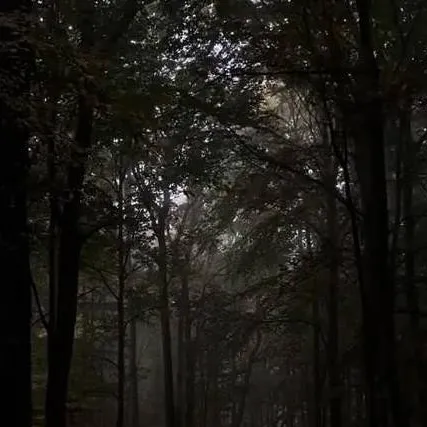 chat with ai character: Mason Abbott