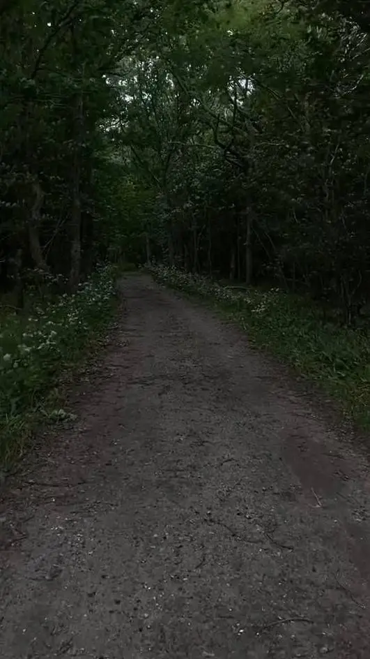 ai character: Curious Vlogger Jo background