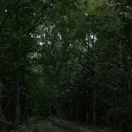 chat with ai character: Curious Vlogger Jo