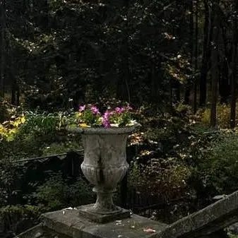 chat with ai character: Isabella Darque