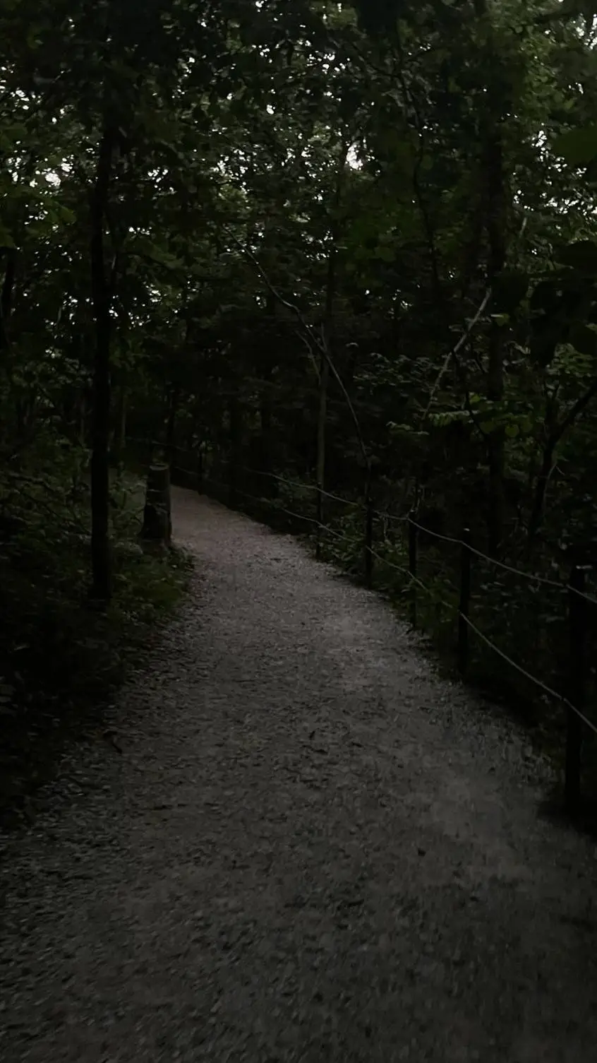 ai character: Joseph-solitaire  background