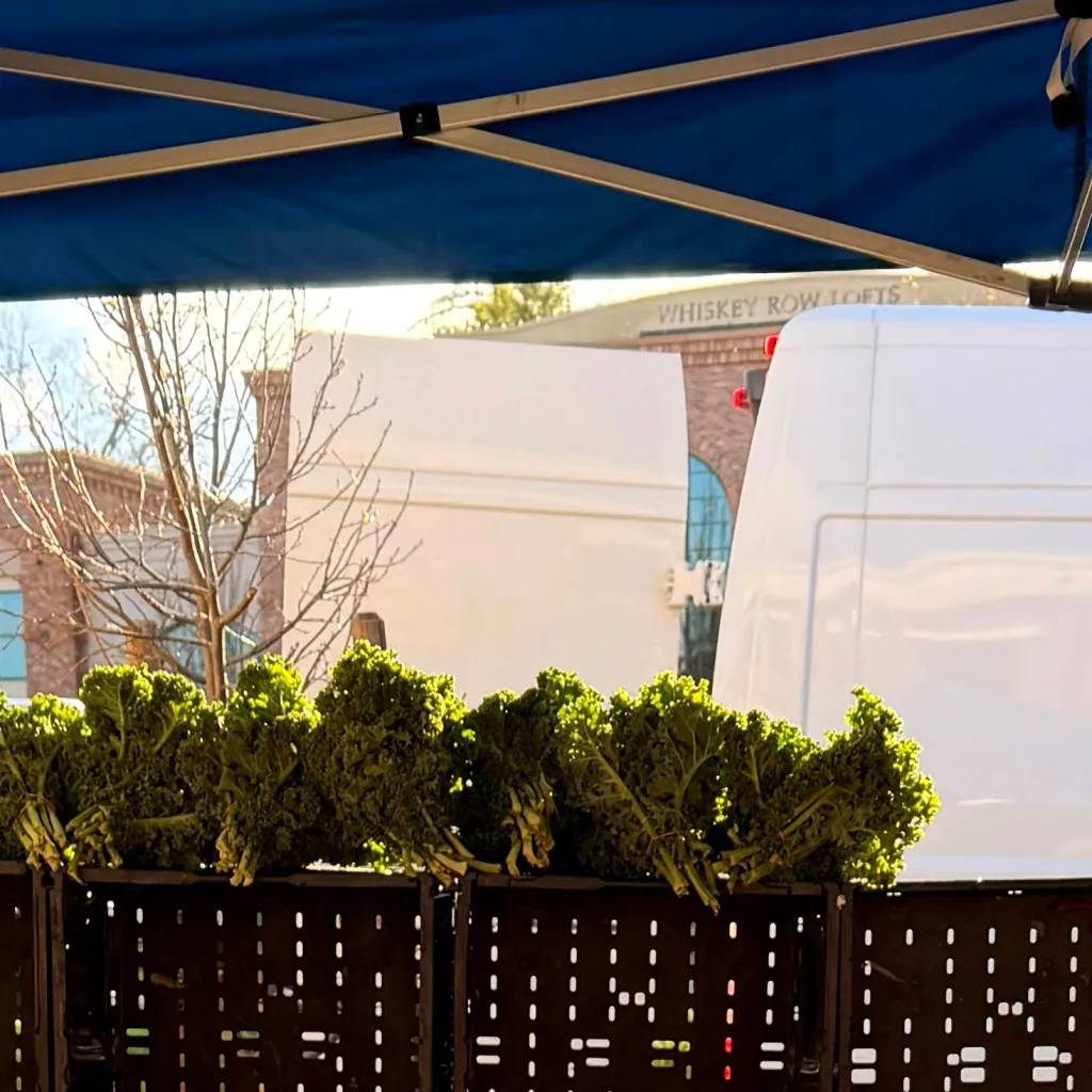 chat with ai character: Strawberry Factory