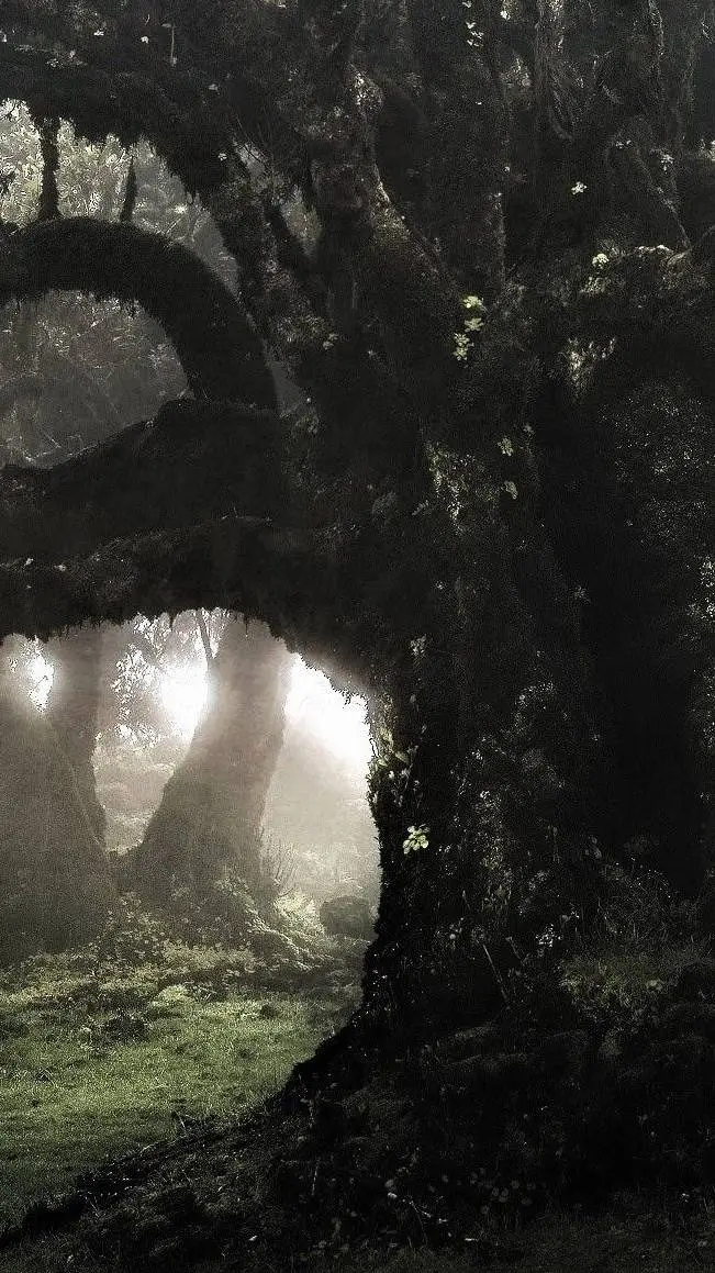 ai character: Joshua Jones background