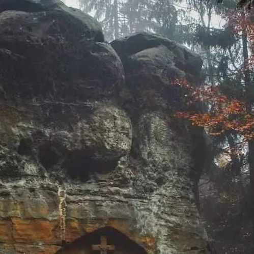 chat with ai character: Lysander the Fores