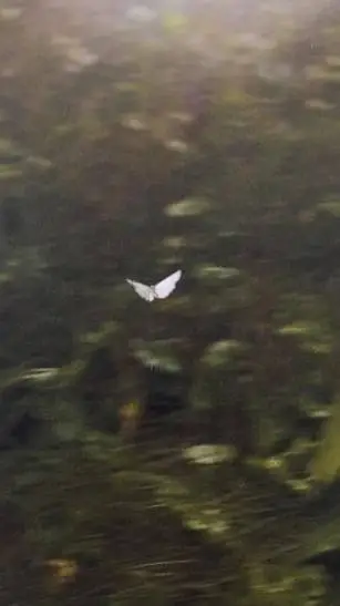 ai character: John Lennon background