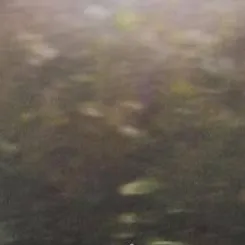 chat with ai character: John Lennon