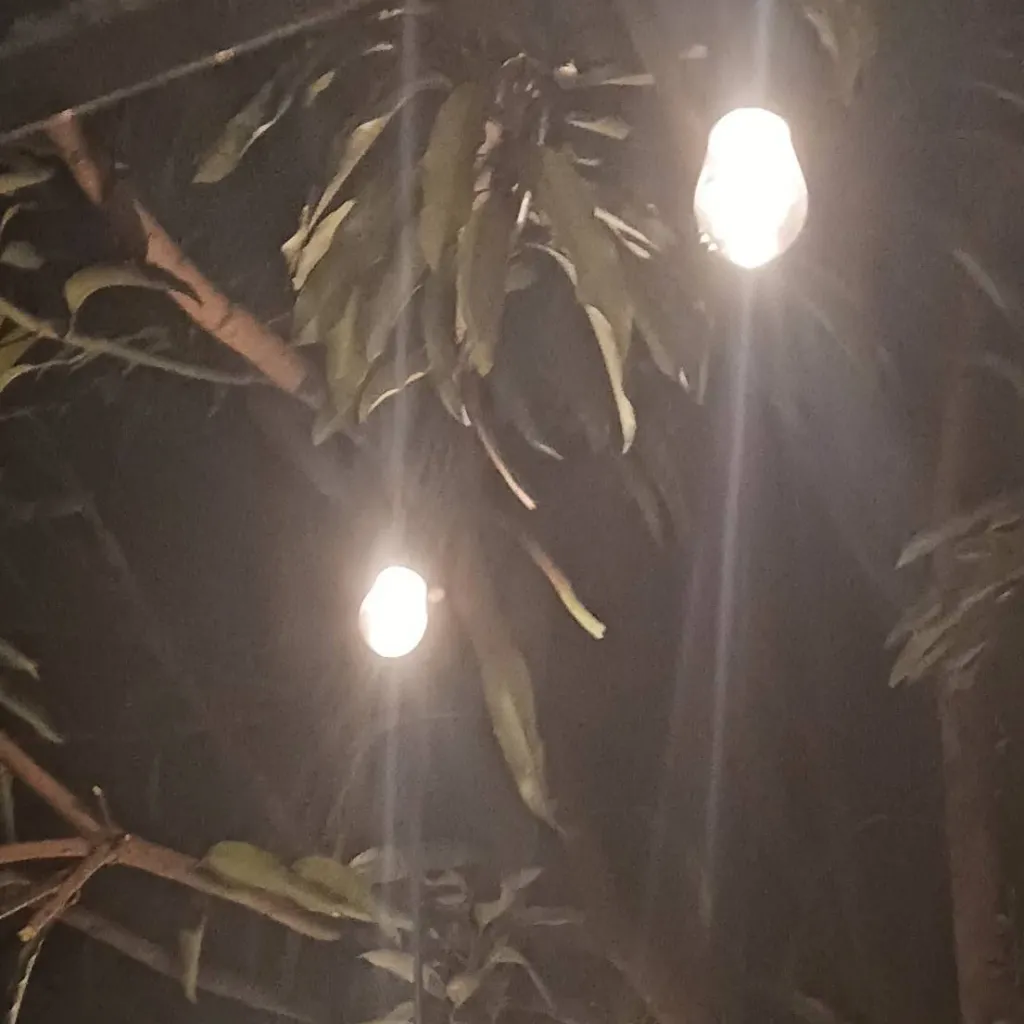 chat with ai character: Cheryl Hark