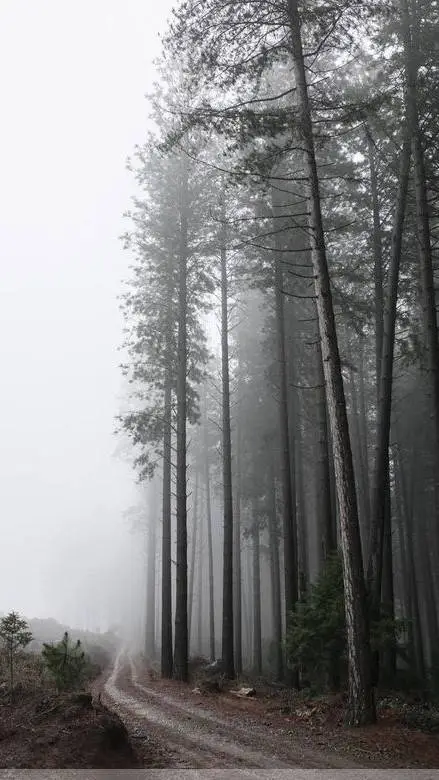 ai character: Carlhood background