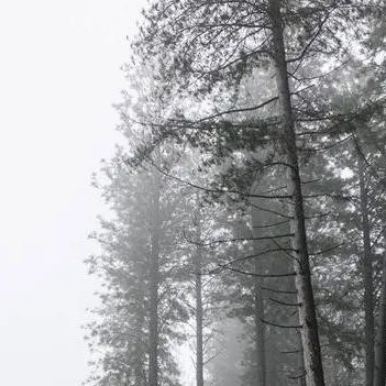 chat with ai character: Carlhood