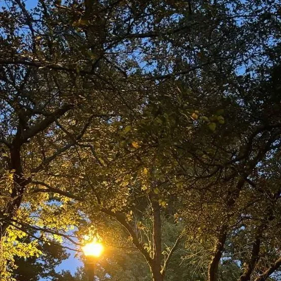 chat with ai character: James