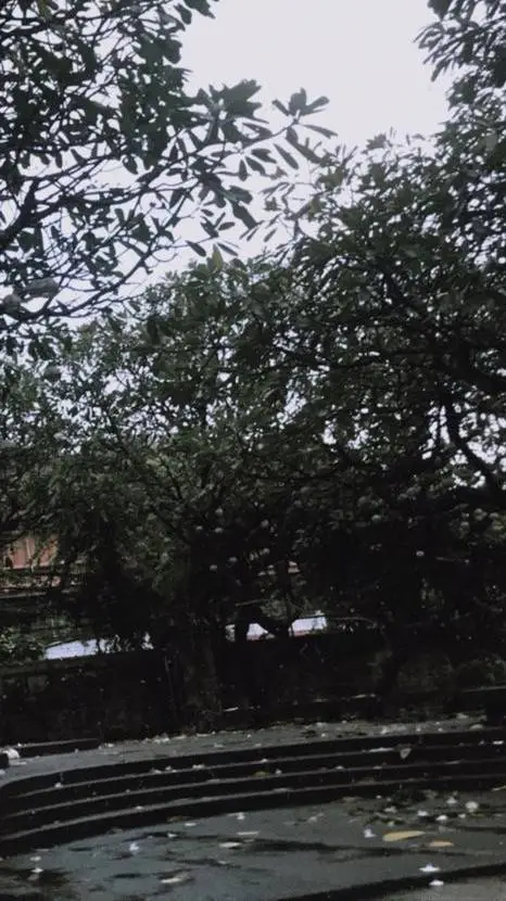 ai character: Dracula background