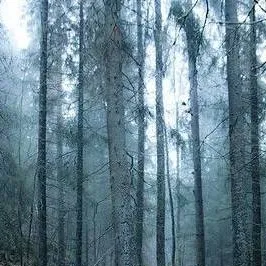 chat with ai character: Justin Castleseeke