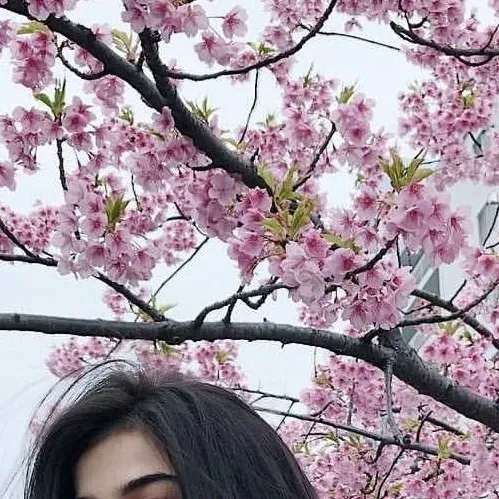 chat with ai character: Anne Curtis