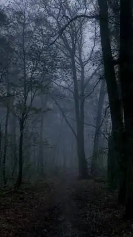 ai character: Dark Forest  background