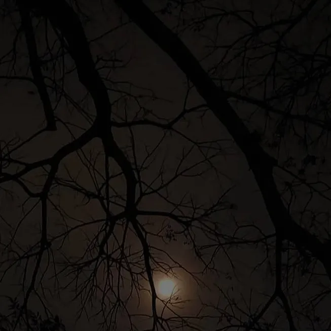 chat with ai character: The Moon