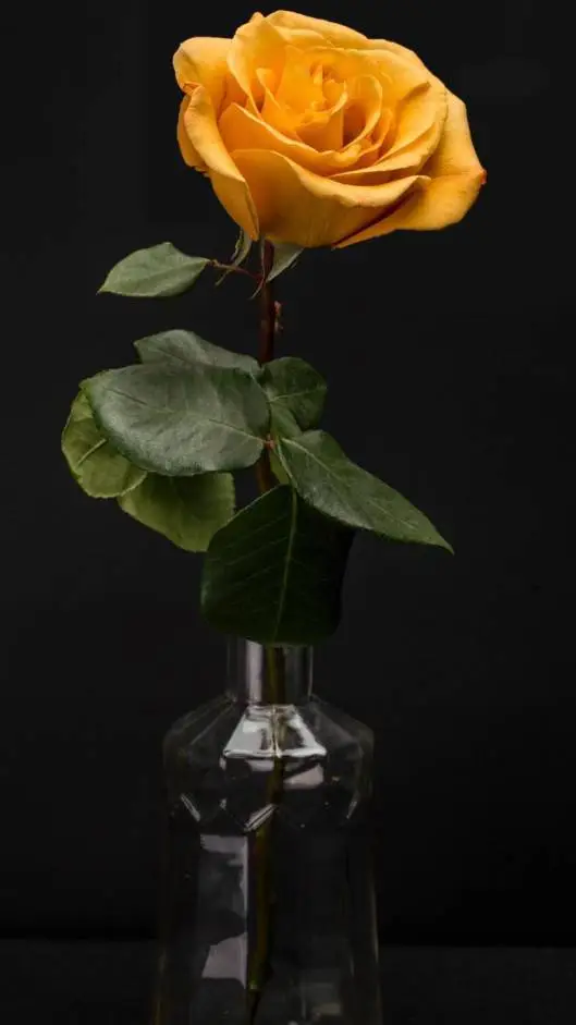 ai character: Yellow Flower  background