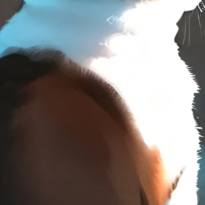 chat with ai character: Kitty cat￼