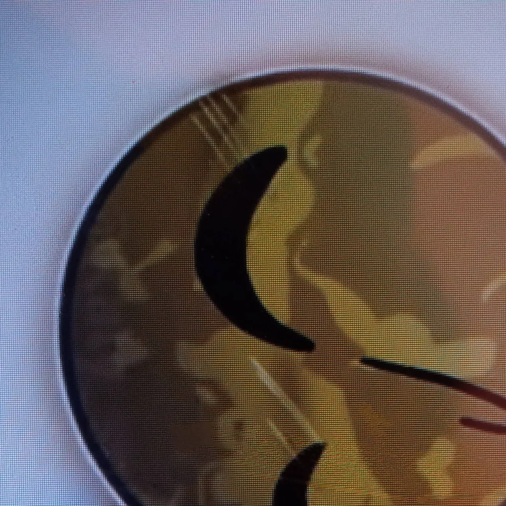 chat with ai character: VenusxTierra