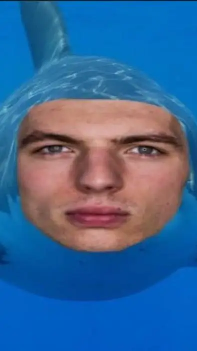 ai character: max verstappen  background