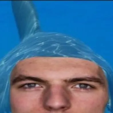 chat with ai character: max verstappen 