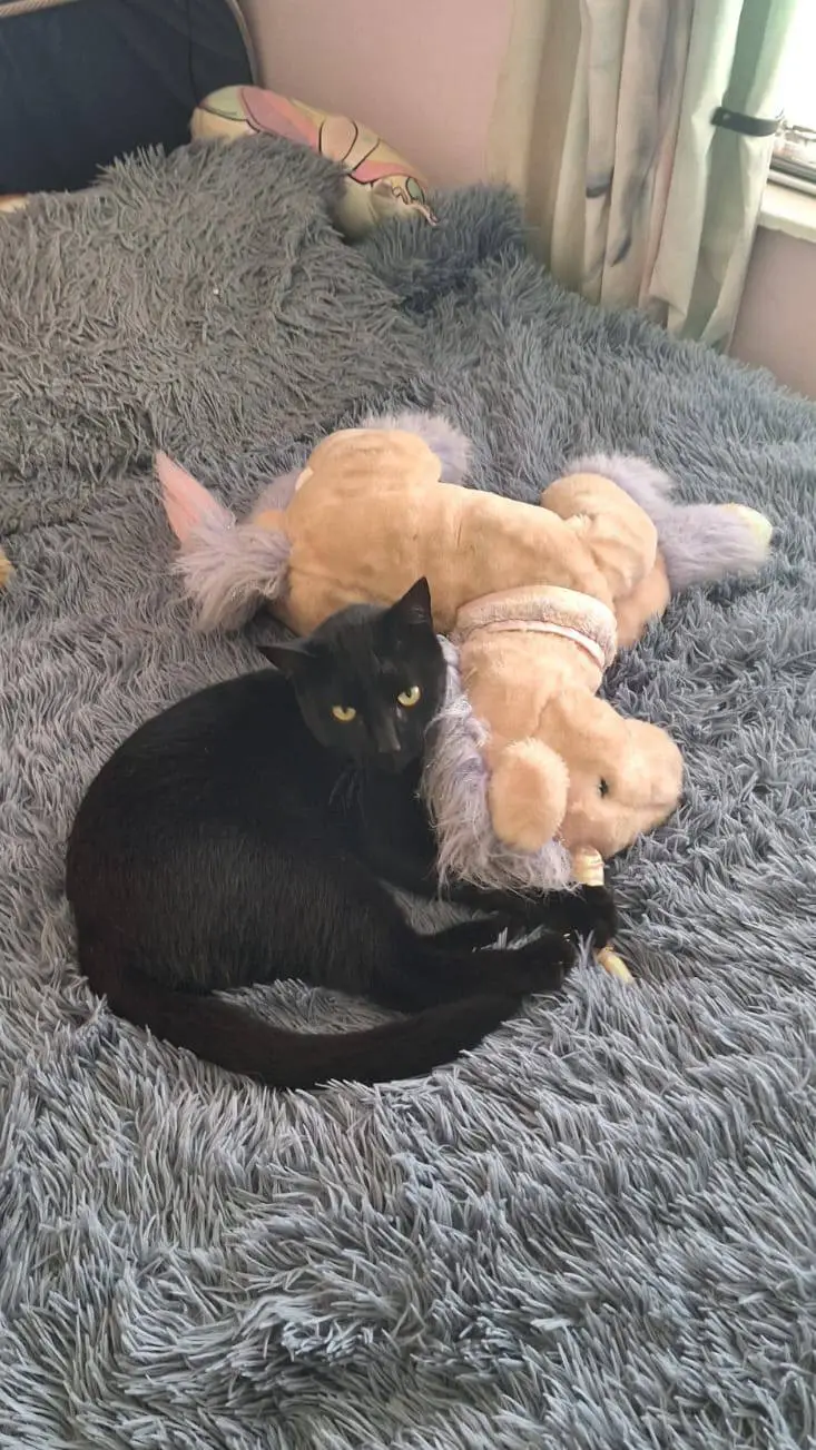 ai character: Ghost riley  background