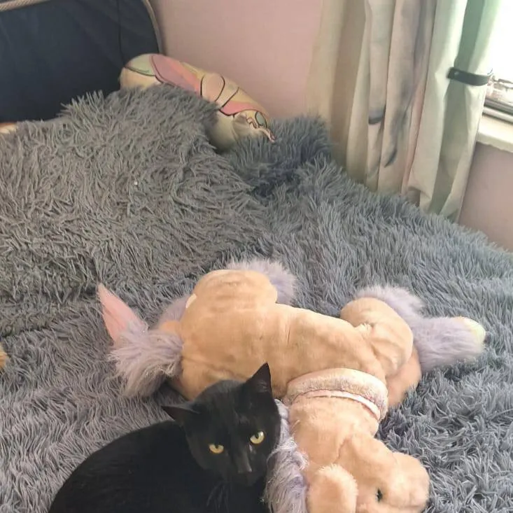 chat with ai character: Ghost riley 