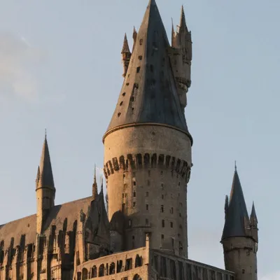 chat with ai character: Hogwarts pick me 