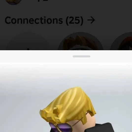 chat with ai character: Rip_Zoro